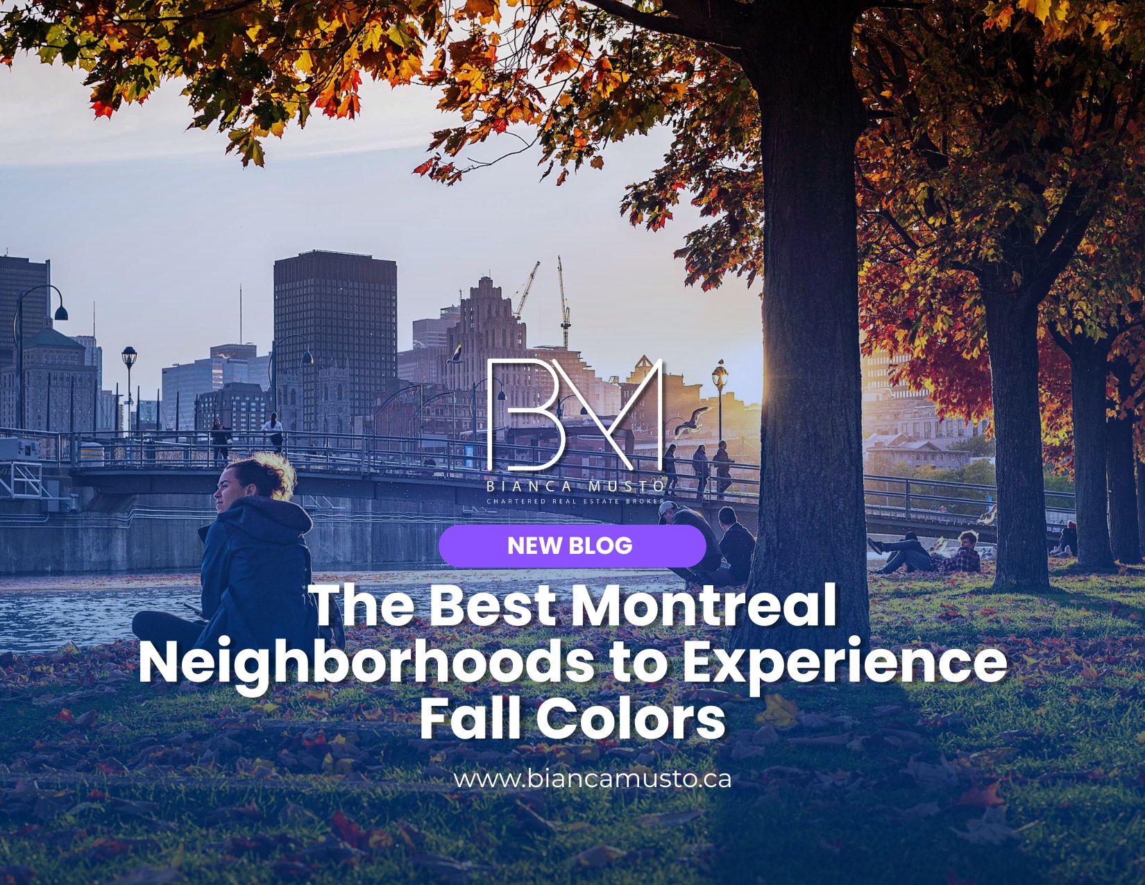 The Best Montreal Neighborhoods to Experience Fall Colors
